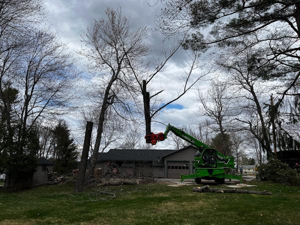 Arborcare Tree Service
