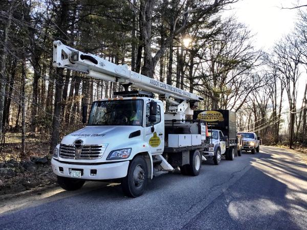 Arborcare Tree Service