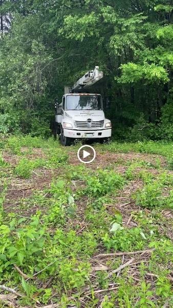 Arborcare Tree Service