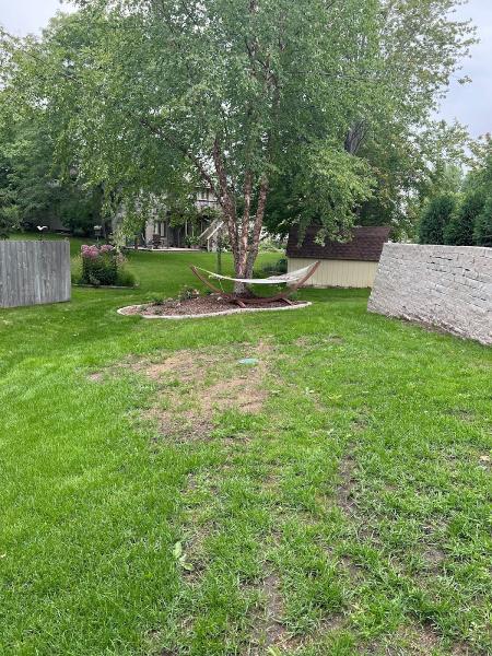 Dean Bjorkstrand Landscaping