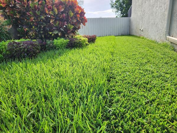 Project Lawn FL