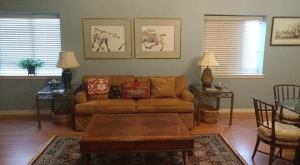 Andrea Vazquez Painting Services