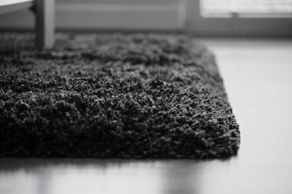 Mr. Carpet Cleaner