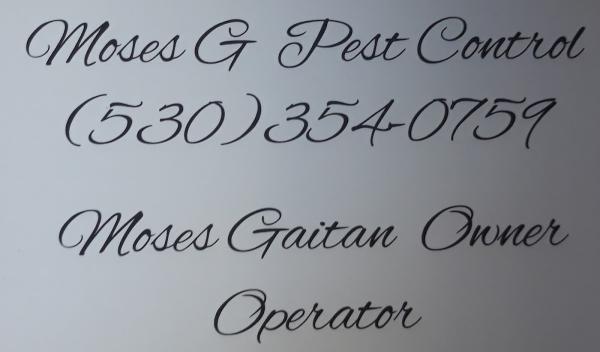 Moses Gaitan Pest Control