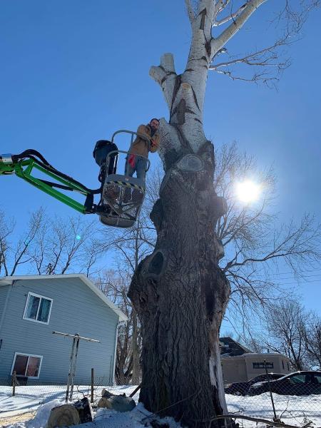 Arbormaster Tree Service