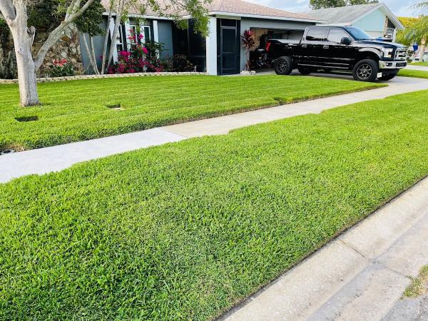 Florida Grown Lawn & Ornamental