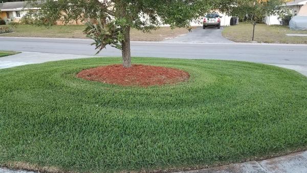 Florida Grown Lawn & Ornamental
