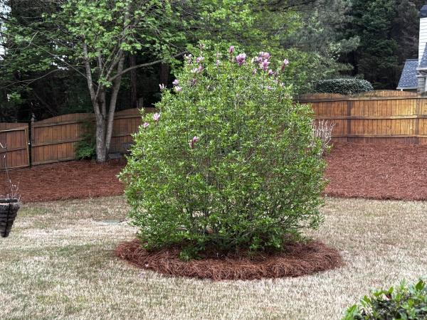 T & J Landscaping and Design