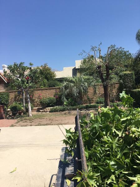 CM Landscaping Services