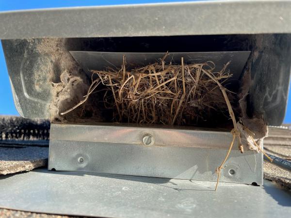 Dryer Vent Cleaners