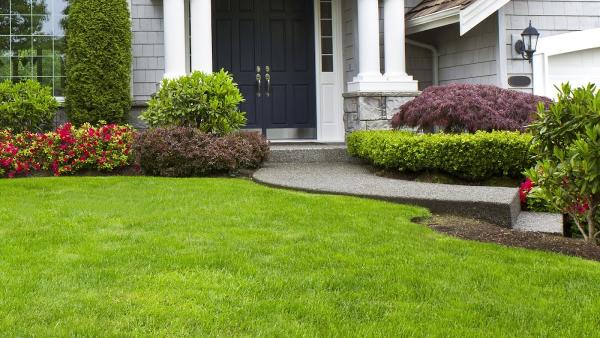 New Beginning Landscape & Remodel LLC