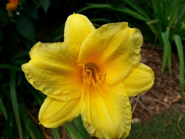 New Beginning Landscape & Remodel LLC
