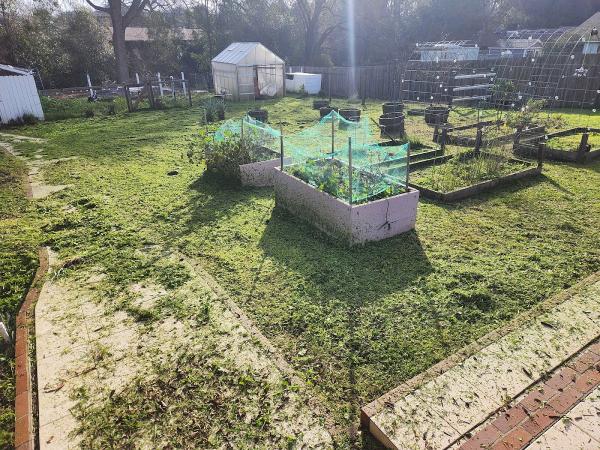 Nelson Landscaping