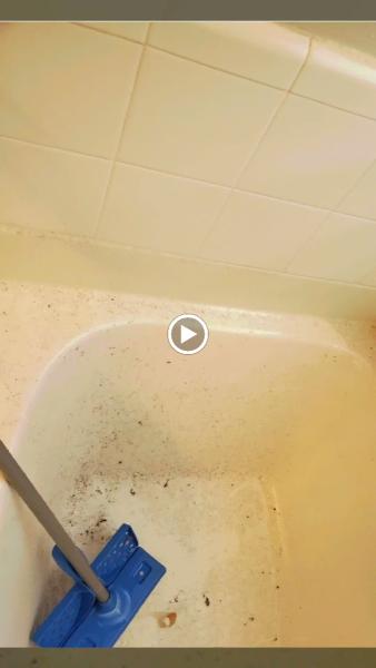 Revamp Cleaning Services