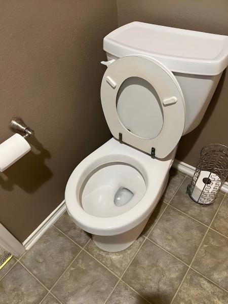 Rover House Cleaners