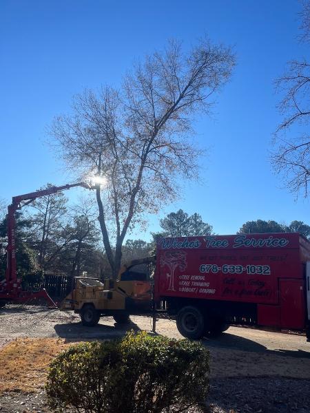 Wichos Tree Service Llc