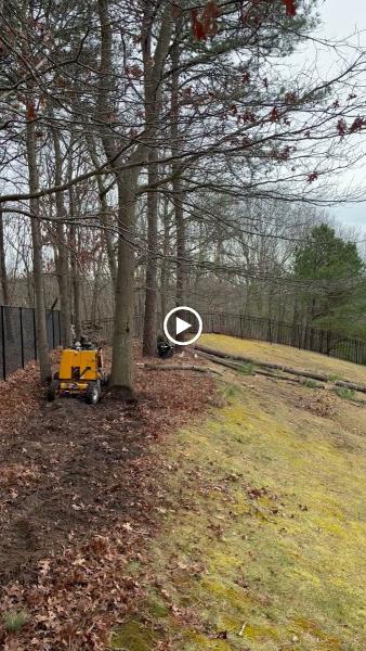 Gonzalez C Tree Service Corp