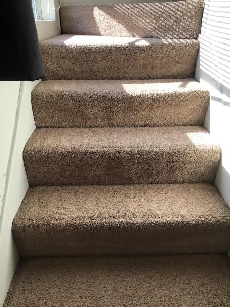 Steam Master Cleaning and Restoration