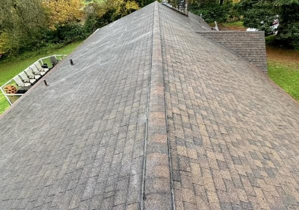Window and Gutter Cleaning Ninjas LLC