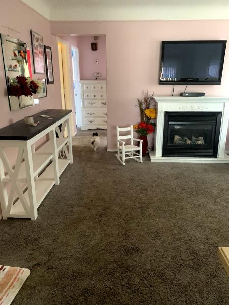 Carpet 4 Less