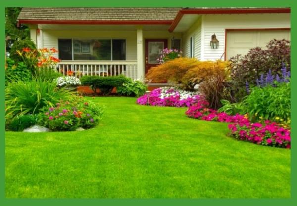 ECO Lawn and Tree Care Services LLC