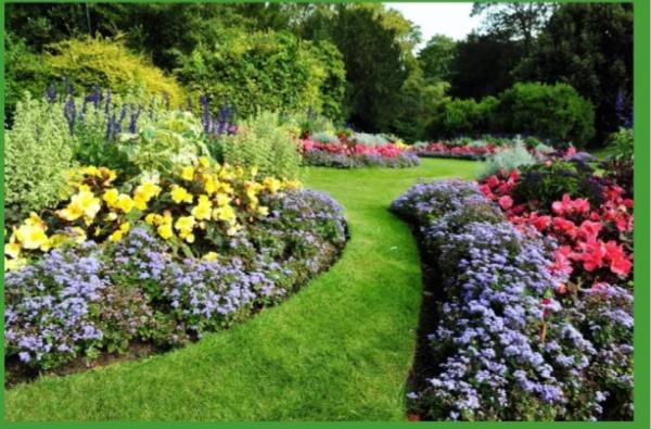 ECO Lawn and Tree Care Services LLC