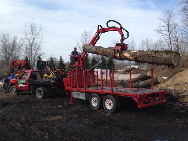 Brongo's Tree Service