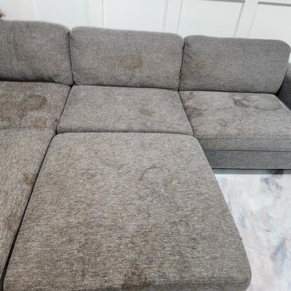 Happy Feet Carpet Cleaning & Pressure Washing LLC
