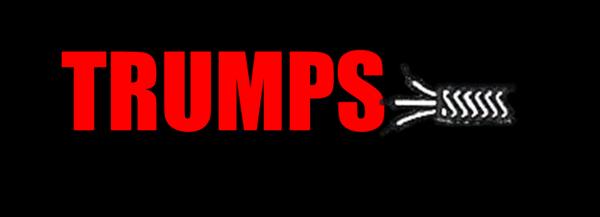 Trump's Electrical Service Inc