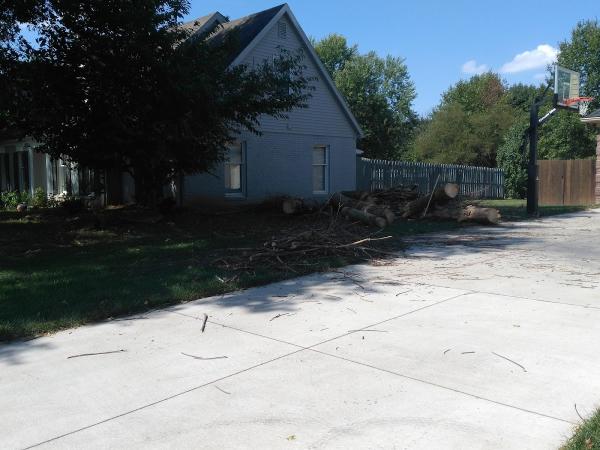 American Tree Experts & Landscaping