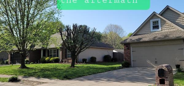 American Tree Experts & Landscaping