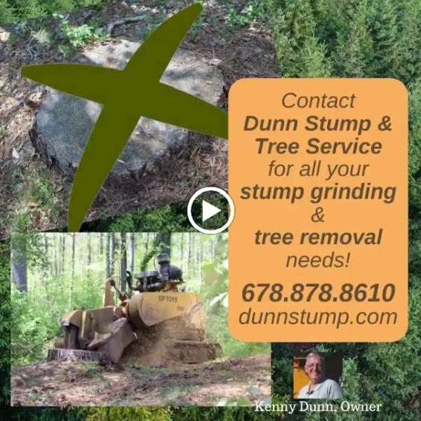 Dunn's Stump Grinding & Tree Service