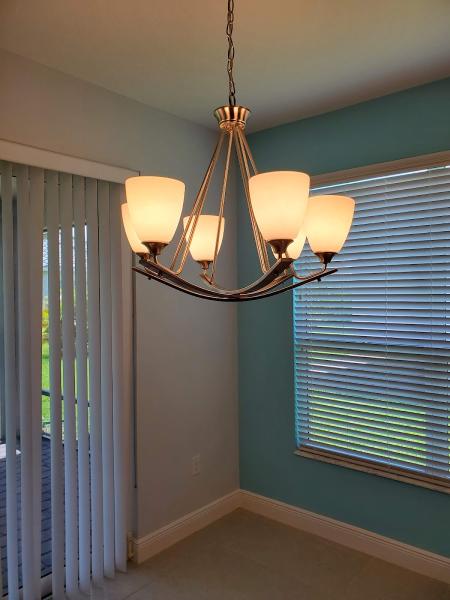 Platinum Handyman Services Llc