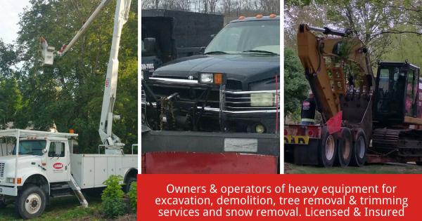 Lago Excavating/Lago Tree Pros