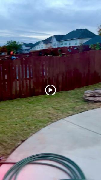 Mint Pools & Landscapes