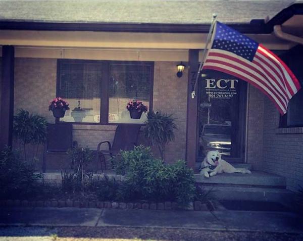 ECT