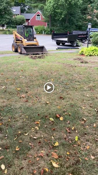 Ramírez International Landscaping & Tree Service