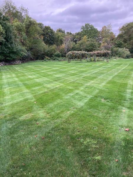 Ramírez International Landscaping & Tree Service