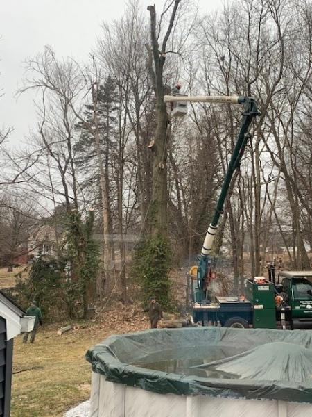 Urban Foresters LLC