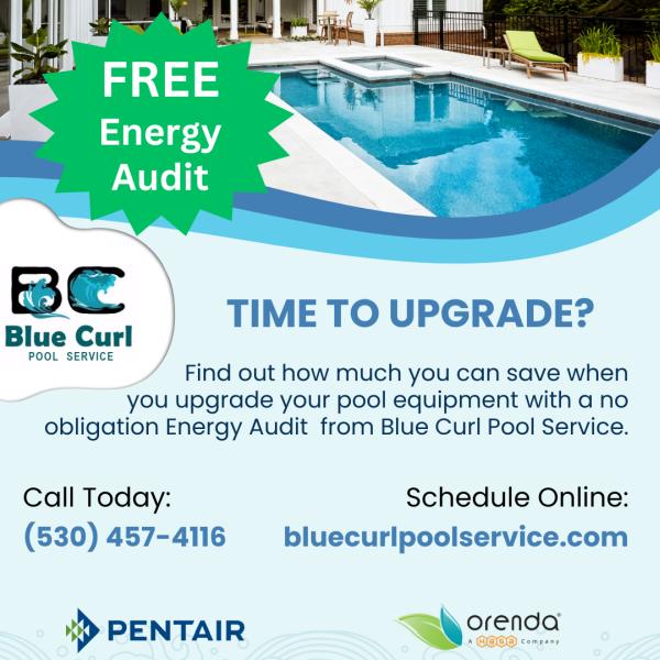 Blue Curl Pool Service