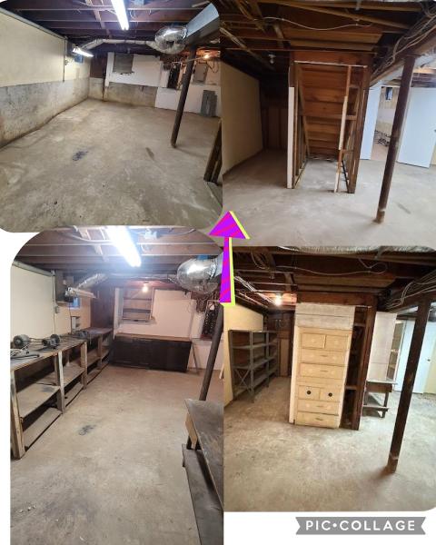 Darryl's Basement Cleaners