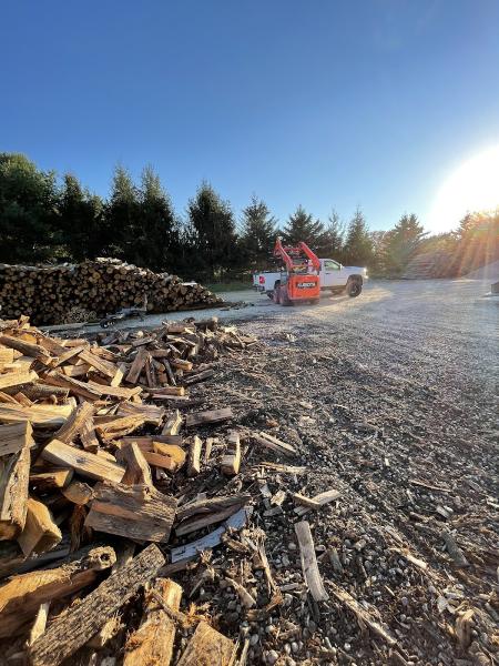 Rayer's Stump Removal