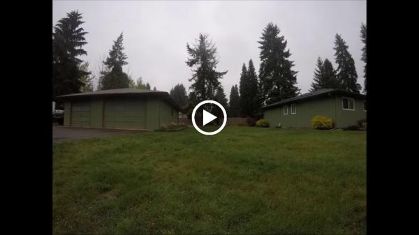 Corvallis Tree Care