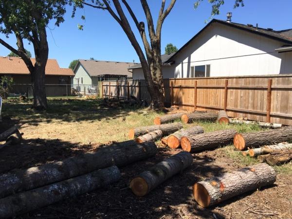 J & J Stump & Tree Removal