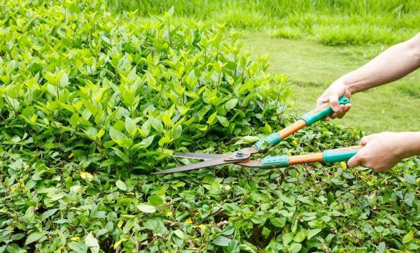 J & J Stump & Tree Removal