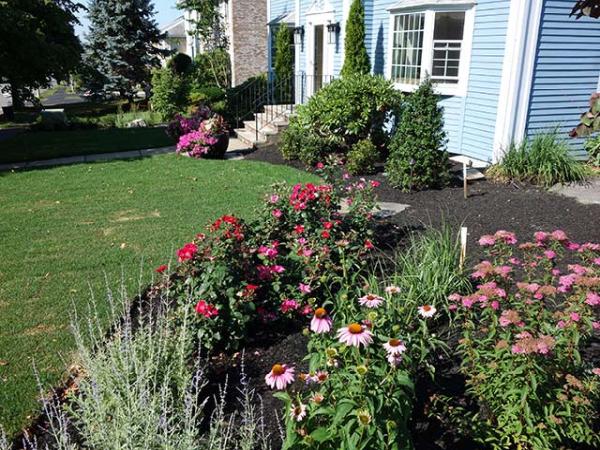 Horticultural Concepts
