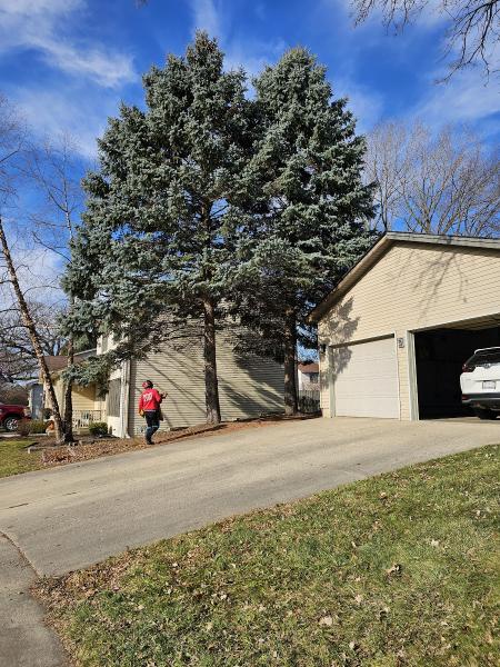Dany Tree Service