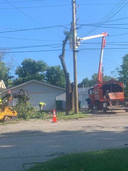 Dany Tree Service