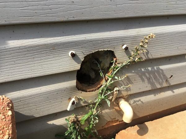 Skillpro Home Inspections
