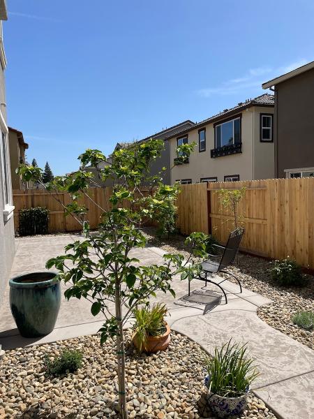 New Look Landscape Inc